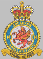 18 Squadron polo shirt